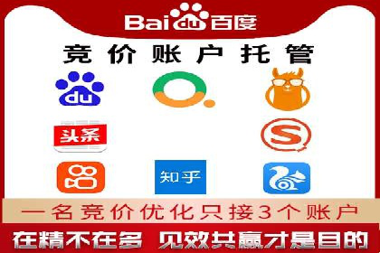 SEM托管服务成功案例背后的故事